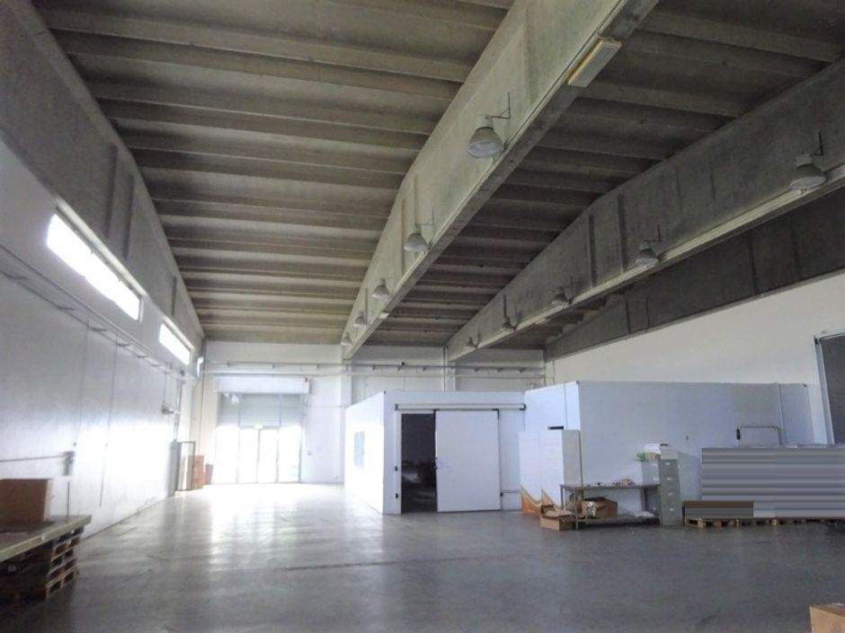 #1298 Capannone con cortile e alloggio in vendita - foto 4