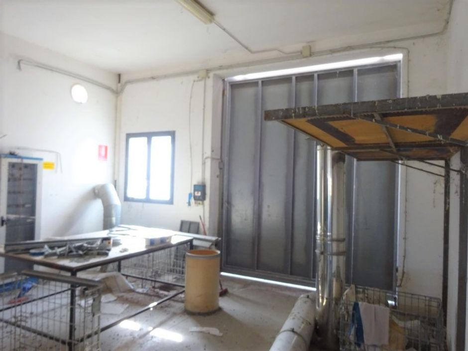 #1300 Edificio artigianale su due piani in vendita - foto 2