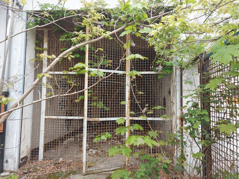 #13071 Complesso immobiliare con area di pertinenza annessa in vendita - foto 4