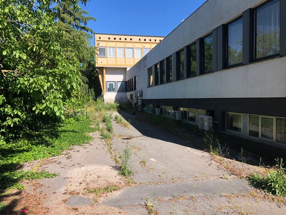 #13229 Complesso industriale con pertinenze in vendita - foto 2