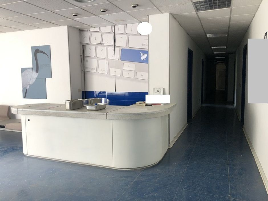 #13229 Complesso industriale con pertinenze in vendita - foto 18