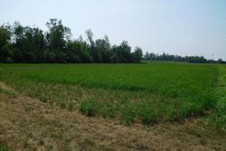 Agricultural shed with land