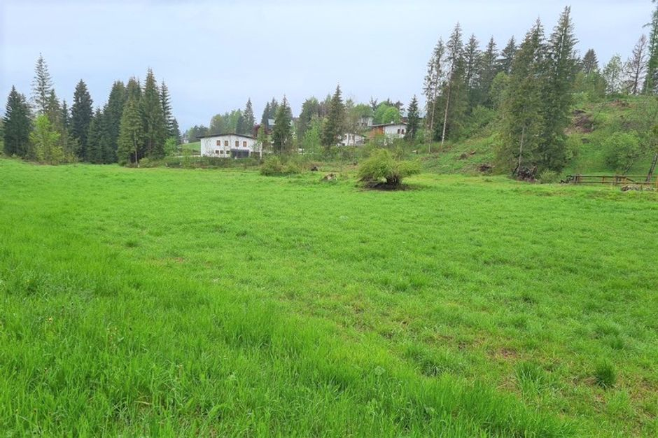 #13393 Terreno agricolo con fascia di rispetto stradale in vendita - foto 4
