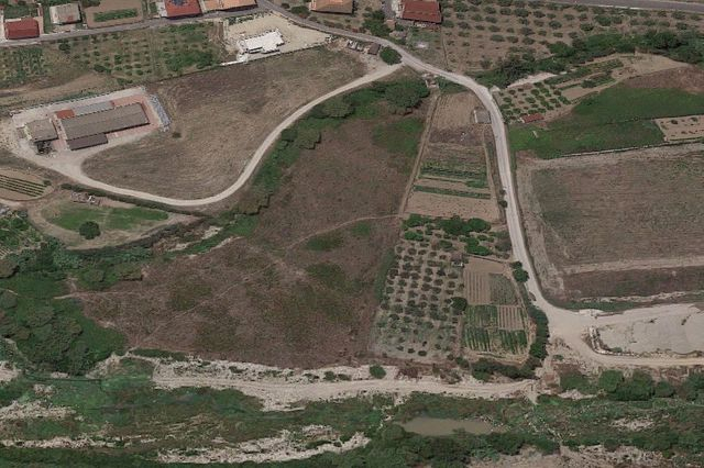 Agricoli in vendita