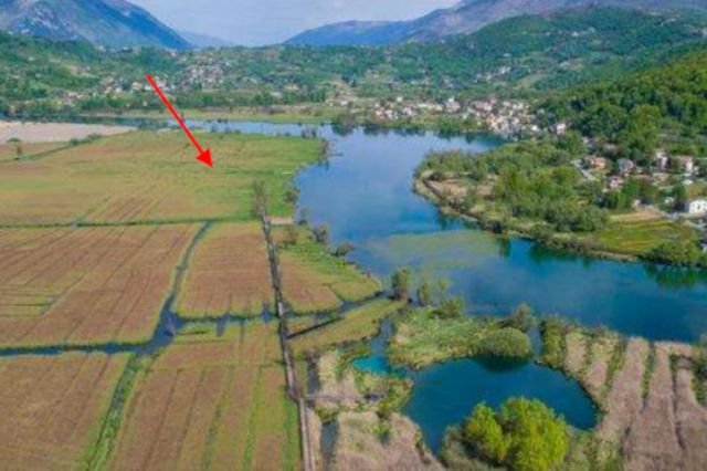 Agricoli in vendita