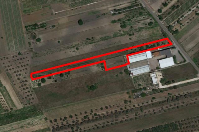 Agricoli in vendita