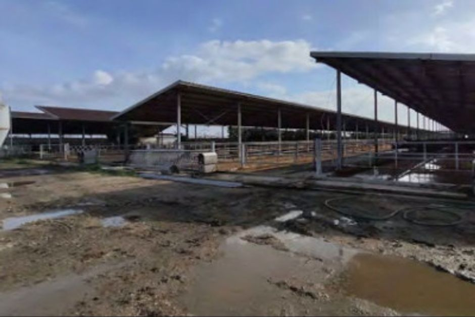 #13598 Azienda agricola bufalina in vendita - foto 2