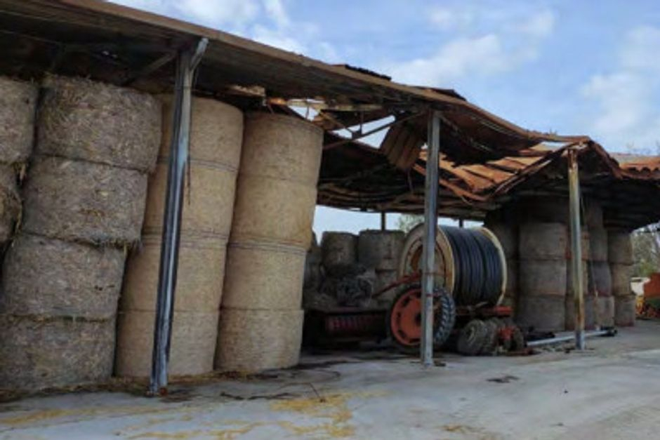#13598 Azienda agricola bufalina in vendita - foto 3