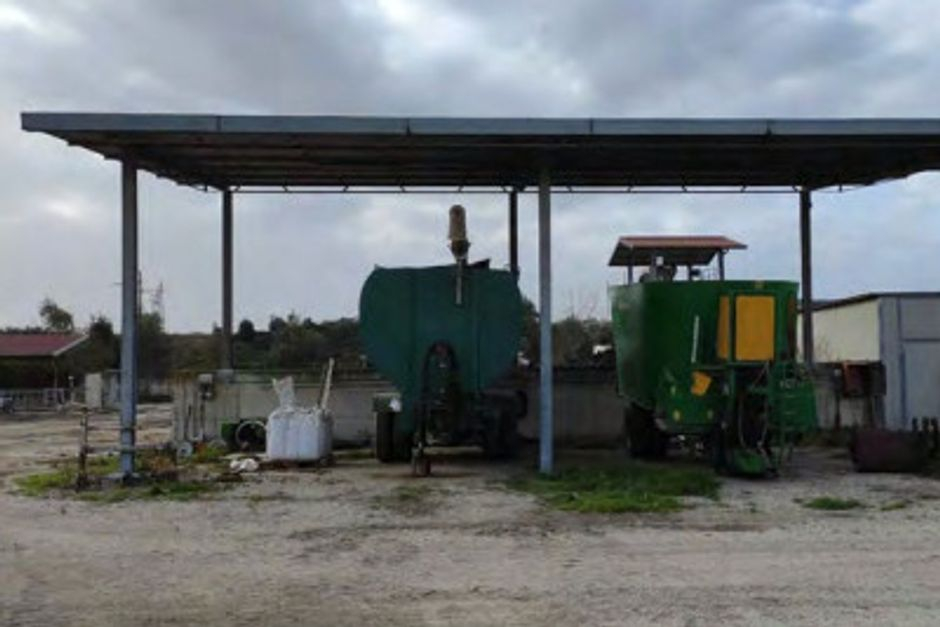 #13598 Azienda agricola bufalina in vendita - foto 4