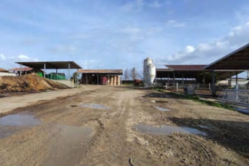#13598 Azienda agricola bufalina in vendita - foto 5