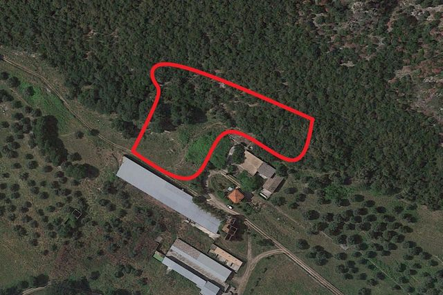 Agricoli in vendita