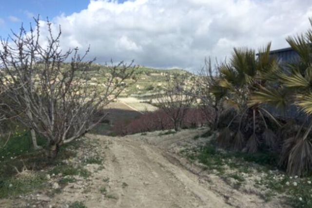 Agricoli in vendita