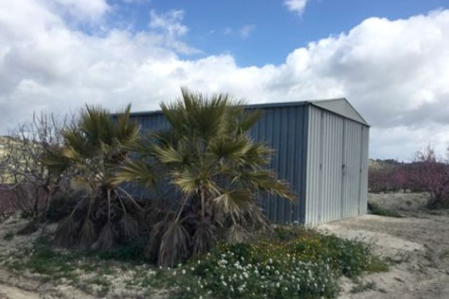 Agricoli in vendita