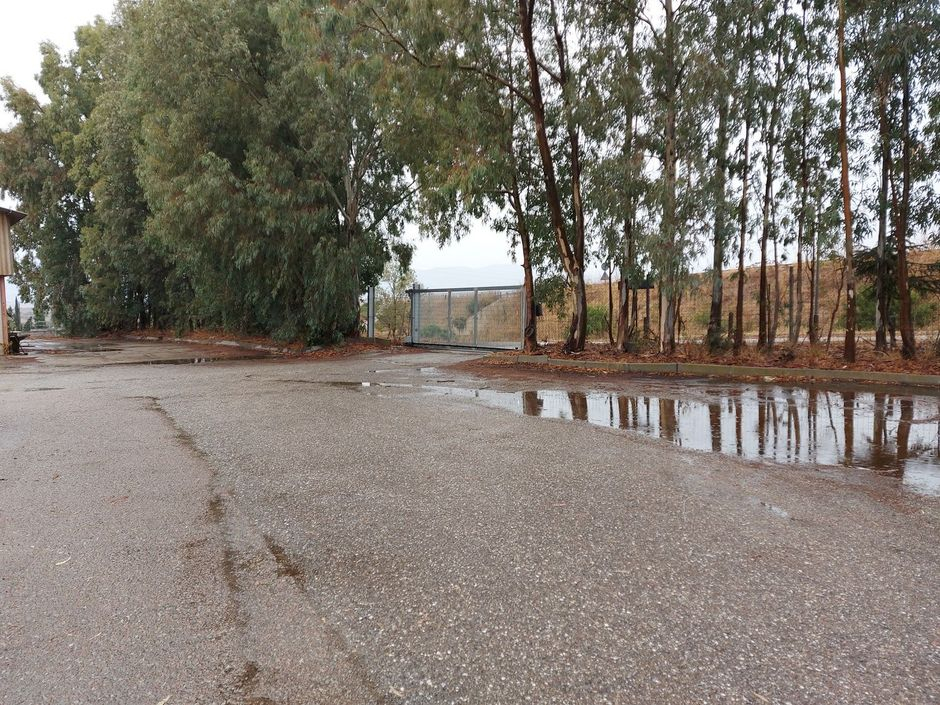 #14042 Complesso industriale in vendita - foto 10