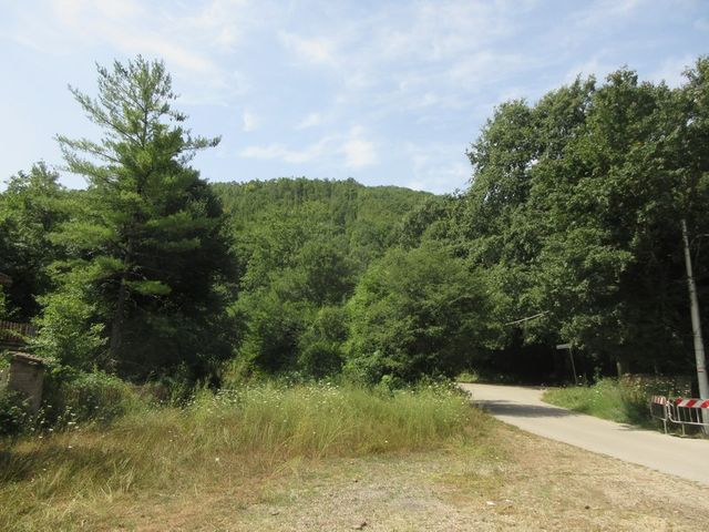 Ville in vendita