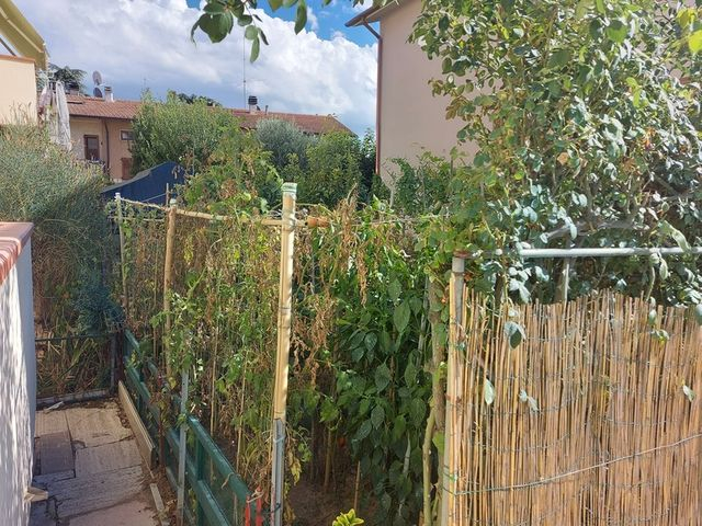 Appartamenti in vendita