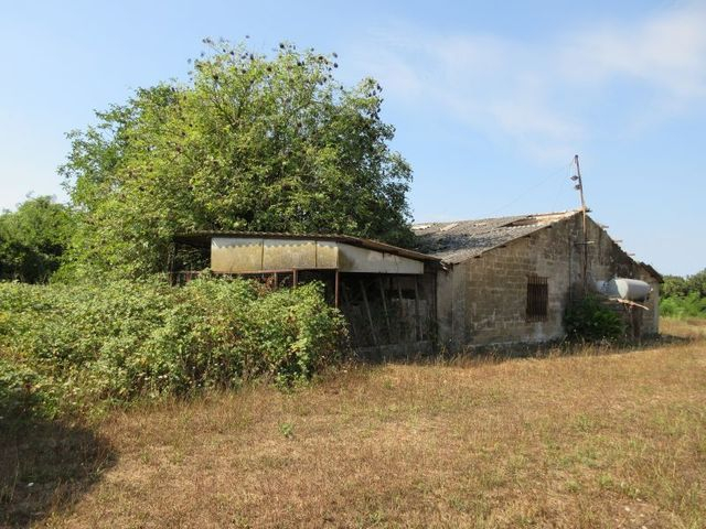 Rustici e casali in vendita