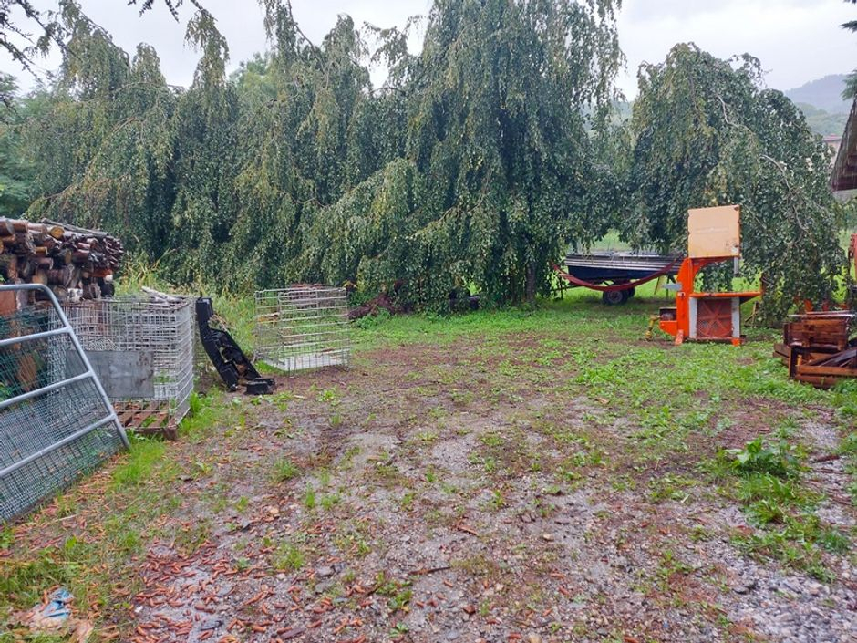#14609 Complesso aziendale con terreni agricoli e deposito in vendita - foto 8