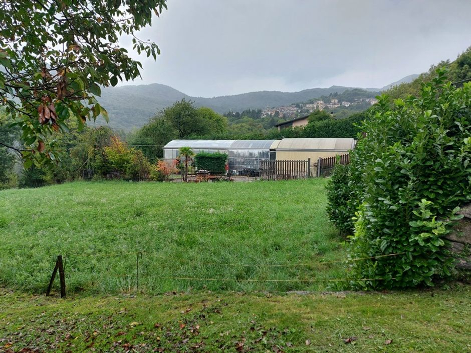 #14609 Complesso aziendale con terreni agricoli e deposito in vendita - foto 12