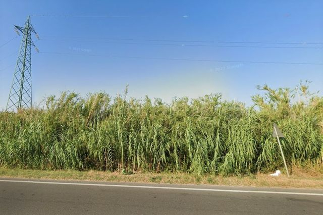 Agricoli in vendita
