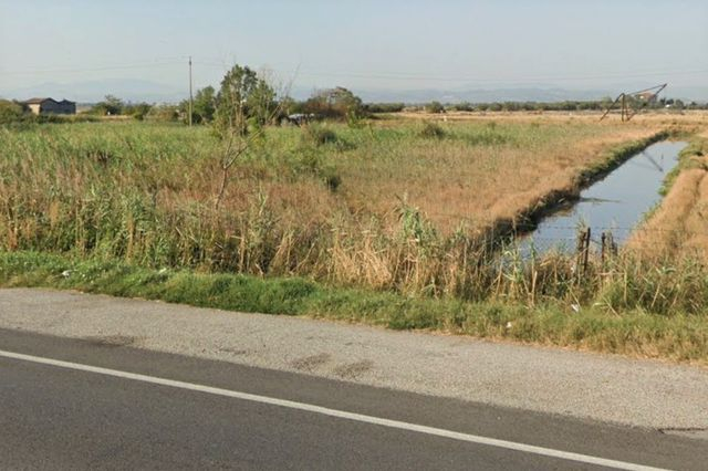 Agricoli in vendita