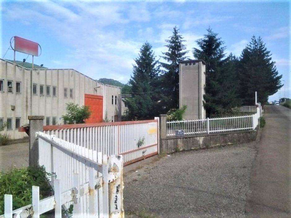 #14671 Complesso industriale con area di pertinenza in vendita - foto 2