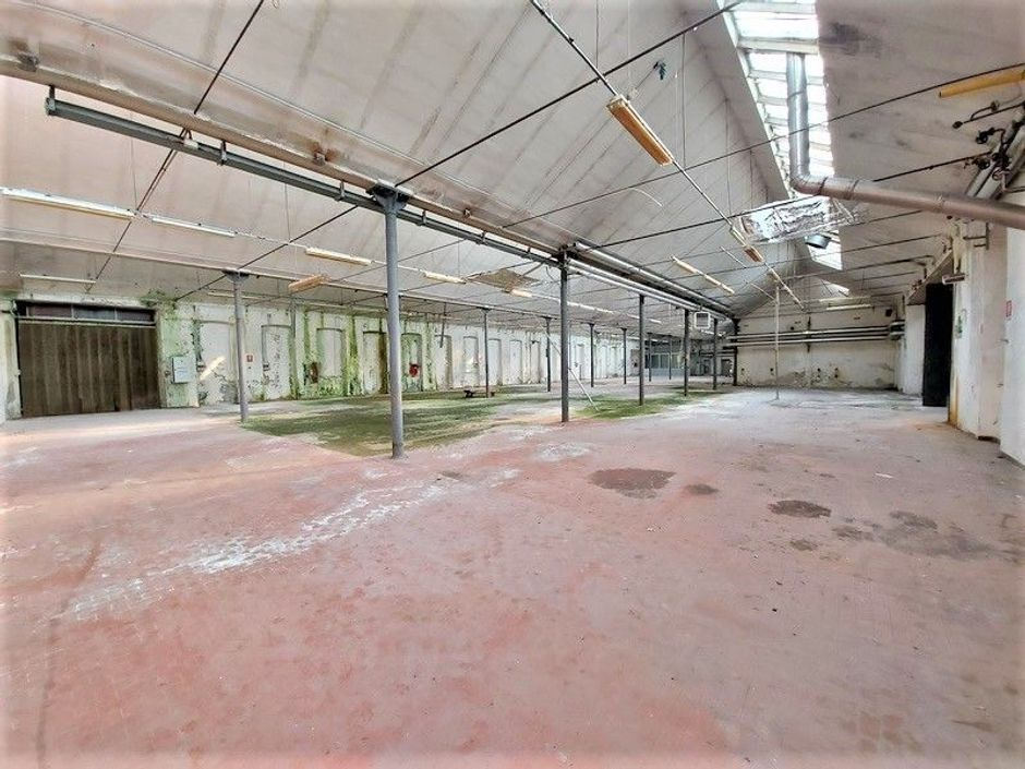 #14678 Stabilimento industriale con abitazione e terreni in vendita - foto 7
