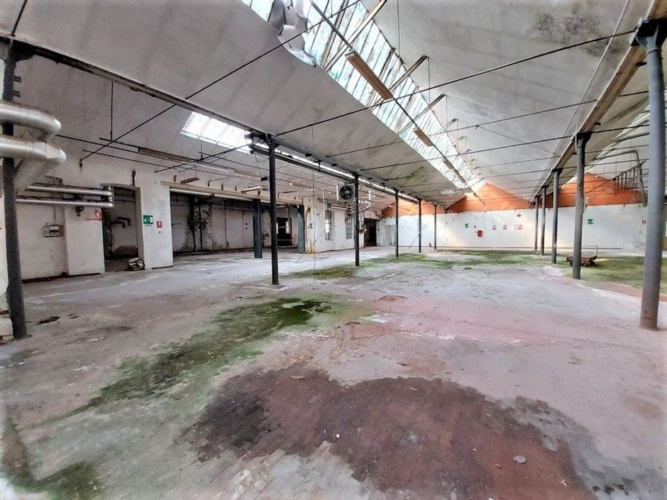 #14678 Stabilimento industriale con abitazione e terreni in vendita - foto 10