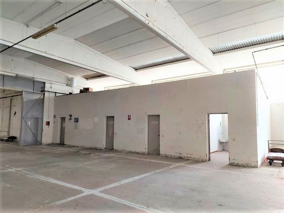 #14678 Stabilimento industriale con abitazione e terreni in vendita - foto 14