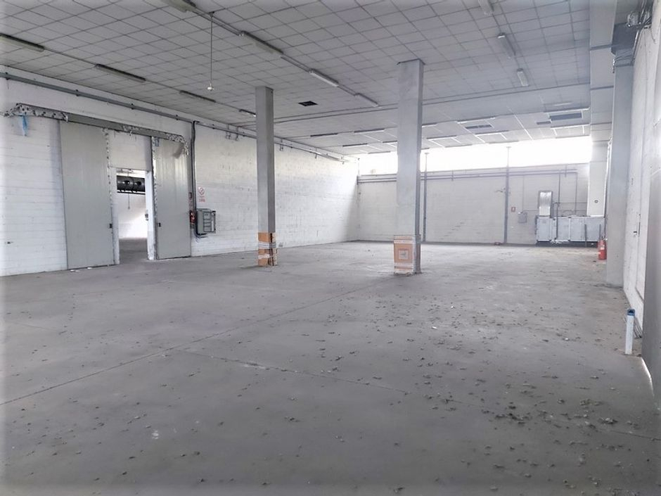#14686 Complesso industriale con 2 capannoni e pertinenze in vendita - foto 13