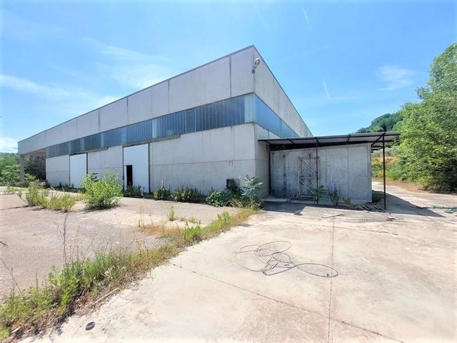 #14696 Capannone industriale con area di pertinenza in vendita - foto 3
