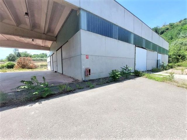 Artigianali in vendita