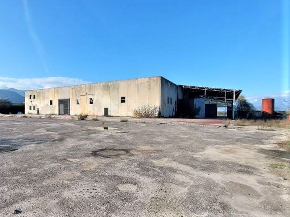 #14721 Capannone industriale con aree di pertinenza in vendita - foto 1
