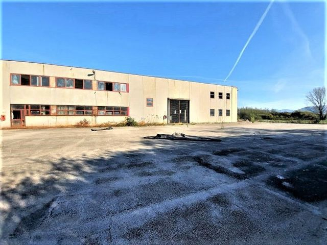 Fabbricati industriali in vendita
