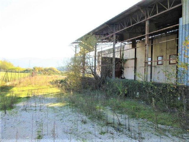 Fabbricati industriali in vendita