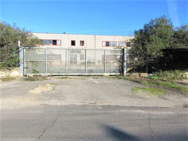 Fabbricati industriali in vendita