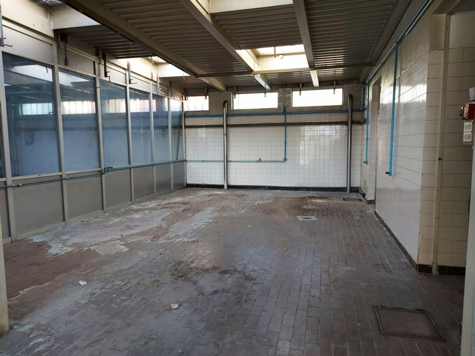 #14913 Complesso produttivo con terreno in vendita - foto 4