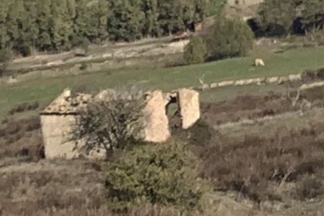 Agricoli in vendita