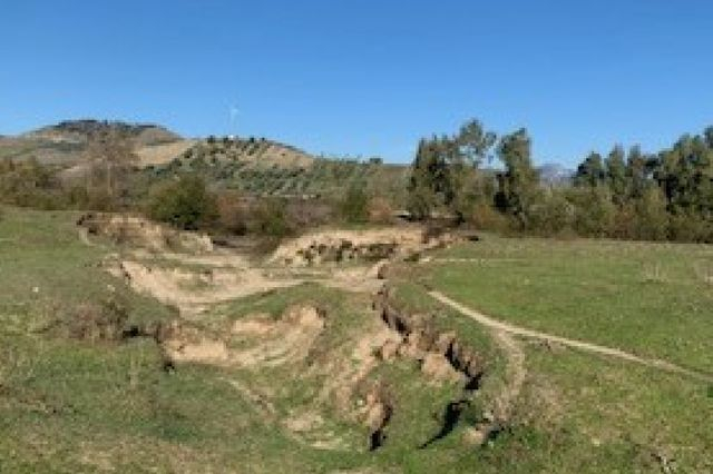 Agricoli in vendita