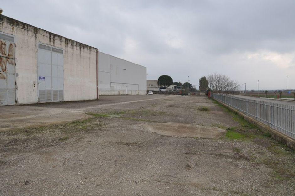 #14957 Capannone industriale con uffici e alloggio custode in vendita - foto 14