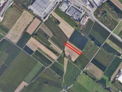 Agricultural land of      square meters - Lot 15031 (Auction 15031)
