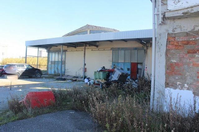 Fabbricati industriali in vendita