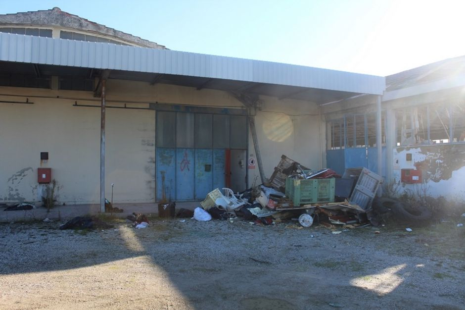 #15090 Fabbricato industriale con resede circostante in vendita - foto 5