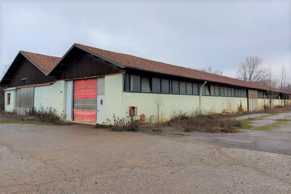 #15150 Opificio industriale con possibilità di riqualificazione in vendita - foto 10