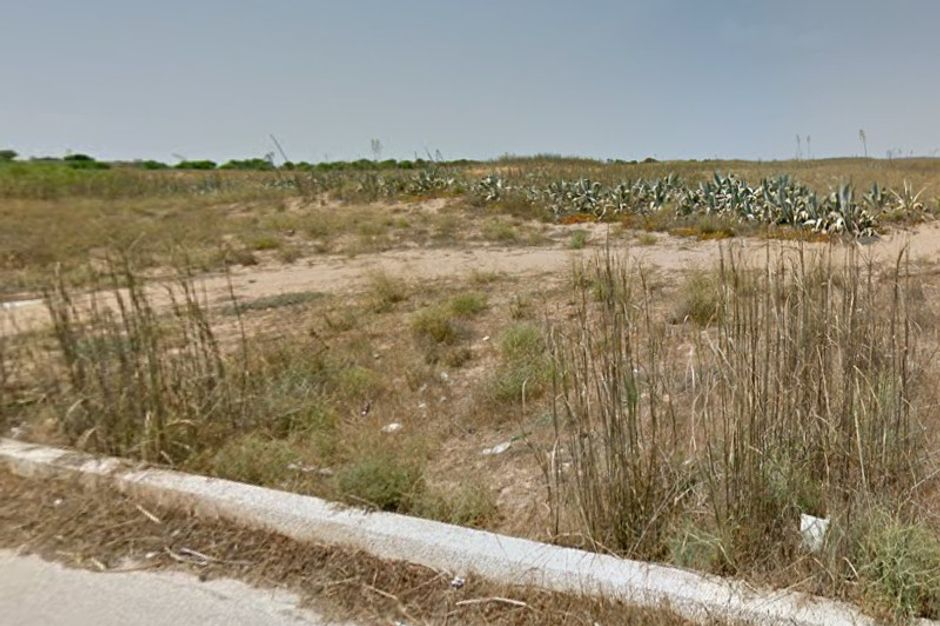 #15297 Terreno agricolo di 94.600 mq in vendita - foto 3