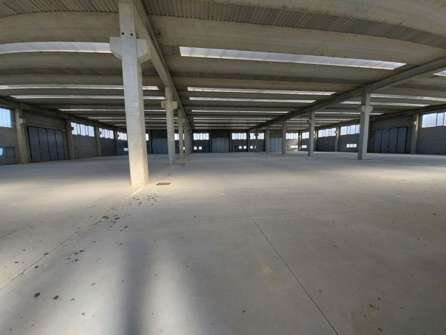 Fabbricati industriali in vendita