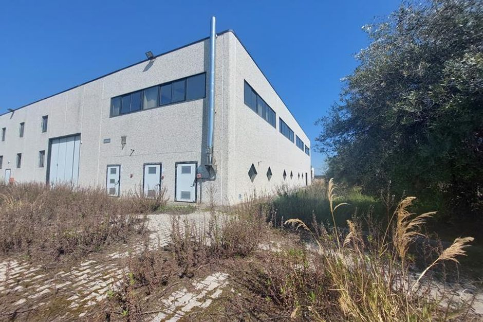 #15412 Capannone in zona industriale in vendita - foto 15