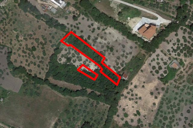 Agricoli in vendita