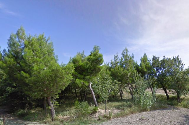 Agricoli in vendita
