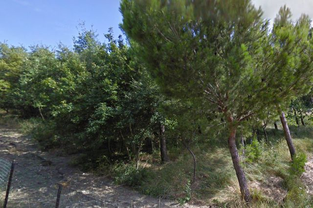 Agricoli in vendita